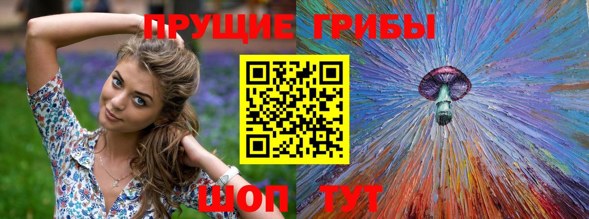Михайловка  как найти закладки  Псилоцибиновые грибы Cubensis  Вход с VPN  Псилоцибиновые грибы Magic Shrooms 